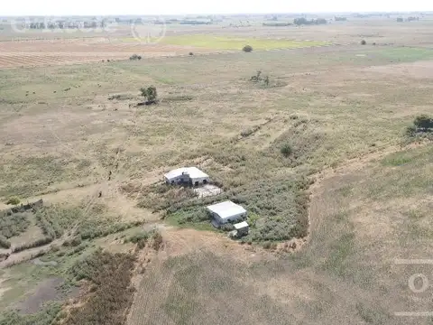 Lobos 168 Has . a menos de 1 hs de CABA,  Excelente oportunidad!