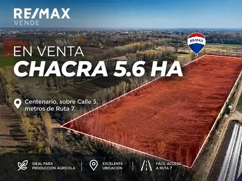 Chacra de 5.6has en centenario – lote agricola