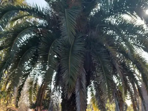 Casa en Venta al Este