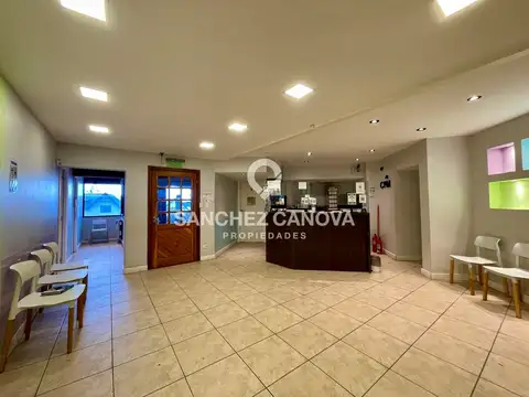 Pioneros 3900