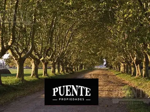 Terreno - Estancia Villa Maria