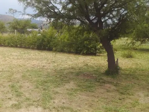 Terreno - Venta - Argentina, Juana Koslay