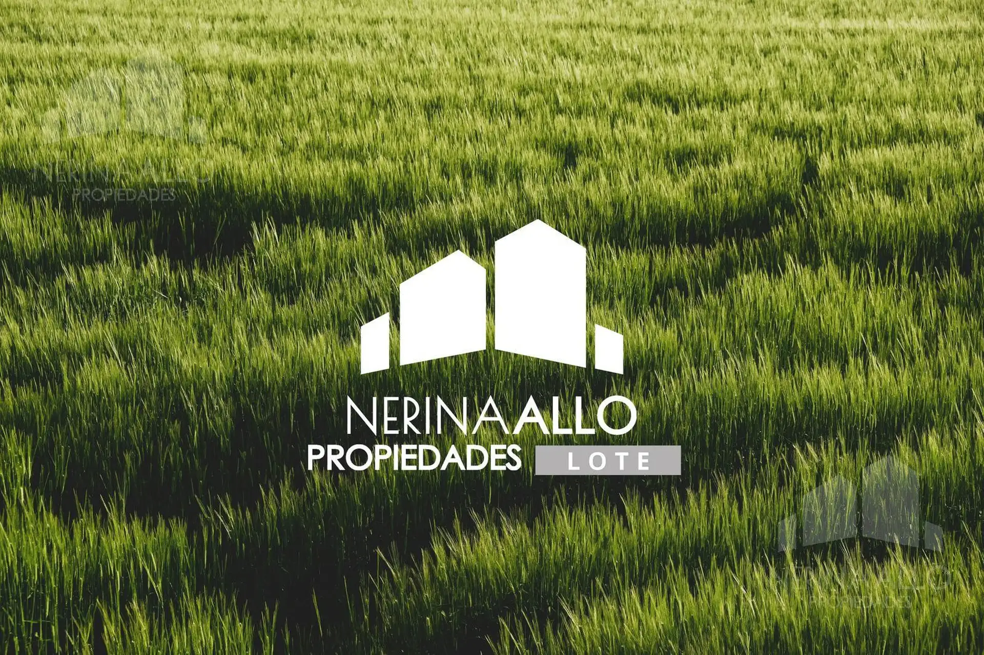 Venta Terreno De 180 M2 En Punta Mogotes