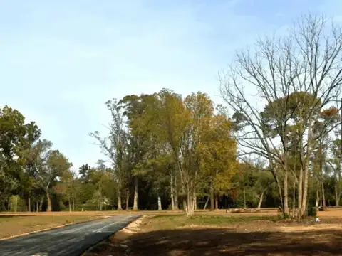Lote 434 m2 en Venta  El Remanso Del Viso Pilar