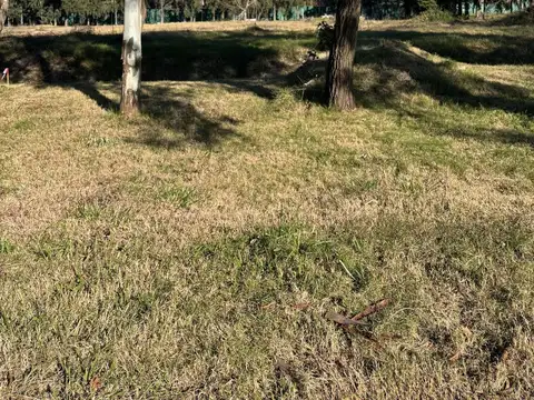 Terreno en Venta en Manuel Alberti, USD 160.000