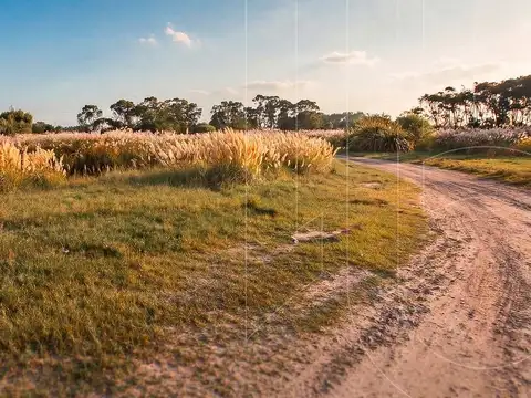 Terreno en Venta en Mar Chiquita, USD 37.800