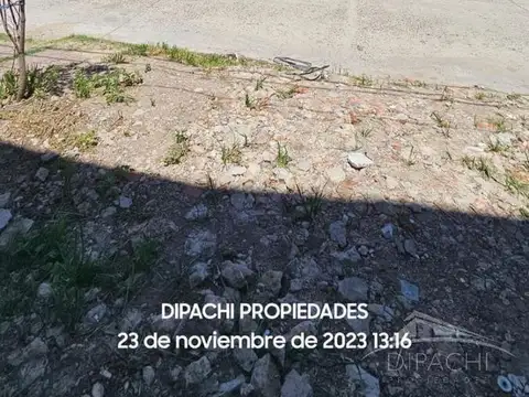 Rubén Bertollo al 2067