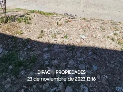 Rubén Bertollo al 2067