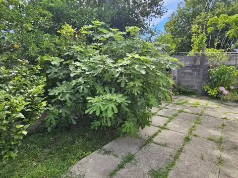 Montenegro 321