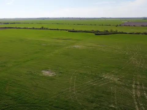 Campo de 179has en Sa Pereyra