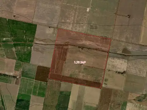 Campo de 179has en Sa Pereyra