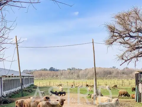 Quinta en Venta en Pilar, Partido de Pilar