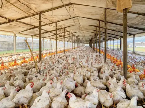 Quinta en Venta en Pilar, USD 370.000