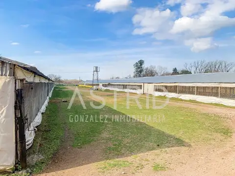 Quinta en Venta en Pilar, USD 370.000