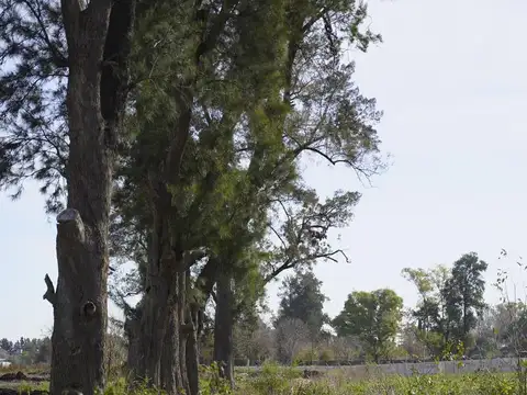 Terreno en Venta de 275,0 m2