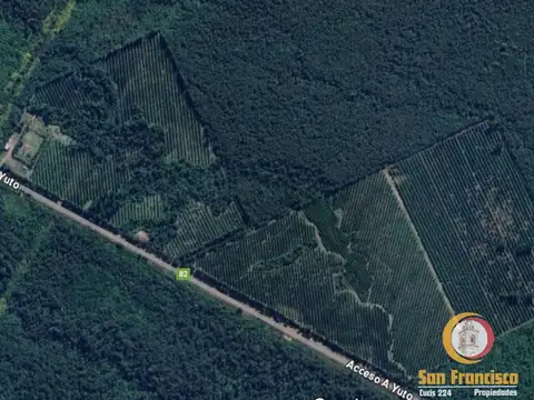 Terreno en Venta en Yuto, USD 700.000