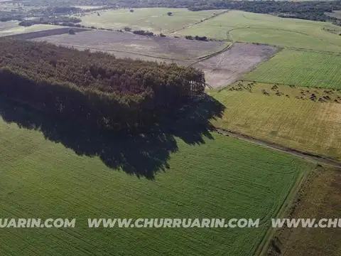 Consultar dirección