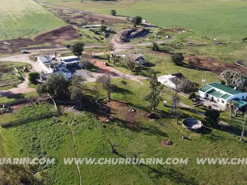 147 HAS AGRICOLAS URUGUAY