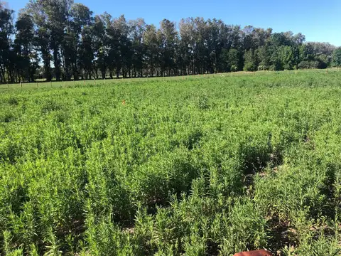 Terreno en Venta de 2144,0 m2