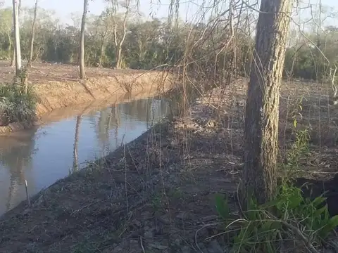 VENTA LOTE EN RIO PARANA DE LAS PALMAS