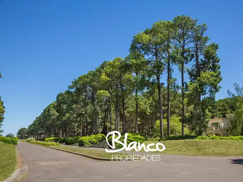 Terreno en Venta en Pinares CC, Exaltación de la Cruz, G.B.A. Zona Norte