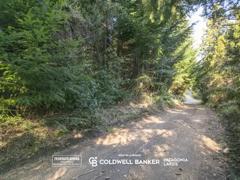 Lote boscoso en Llao Llao San Carlos de Bariloche