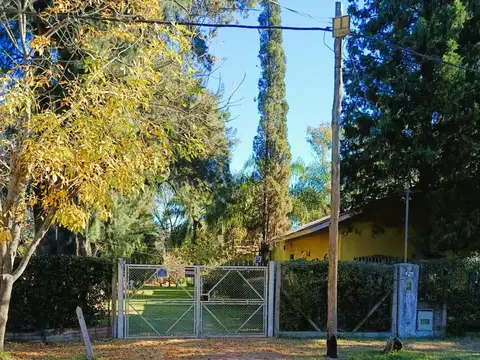 Mariano Moreno 600