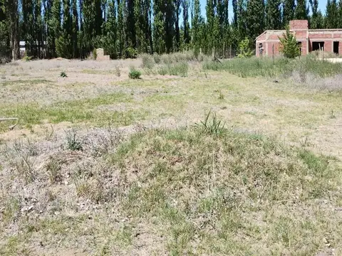 Terreno en Venta en Plottier, Confluencia