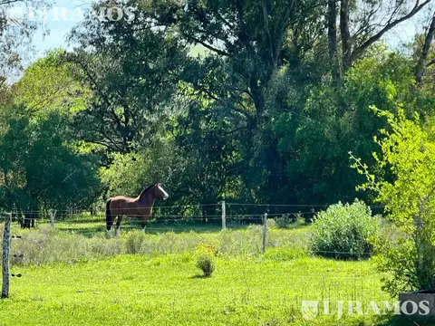 Terreno - Countries/B.Cerrado (Campana)