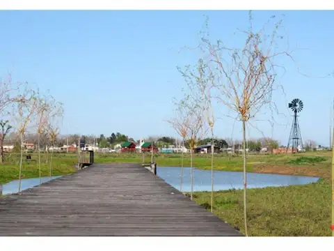 Terreno en Venta de 555,0 m2