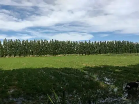 CHACRA DE 10HA EN VENTA EN SENILLOSA