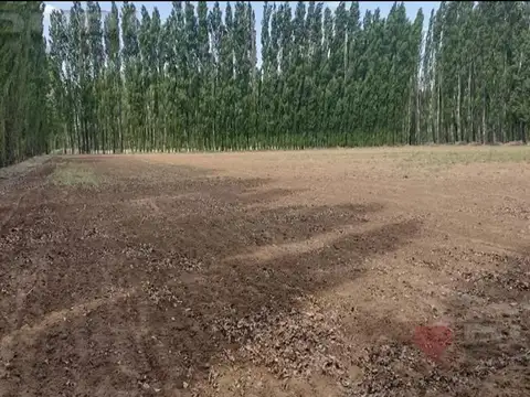CHACRA DE 10HA EN VENTA EN SENILLOSA