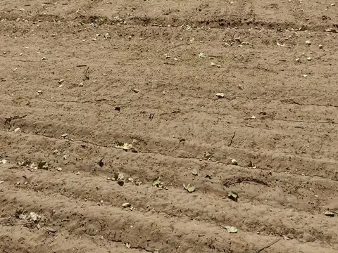 CHACRA DE 10HA EN VENTA EN SENILLOSA
