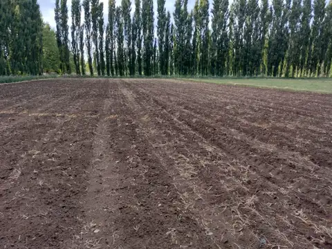 CHACRA DE 10HA EN VENTA EN SENILLOSA