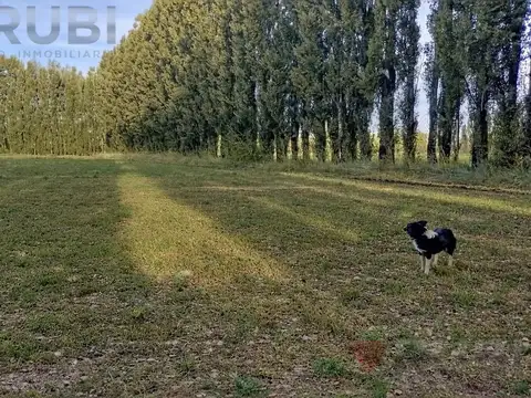 CHACRA DE 10HA EN VENTA EN SENILLOSA