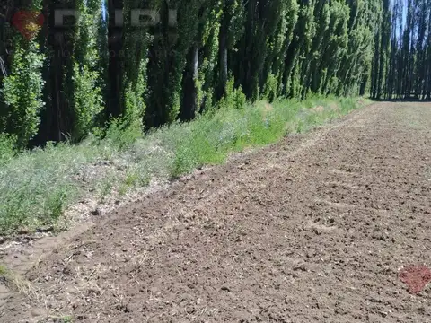 CHACRA DE 10HA EN VENTA EN SENILLOSA