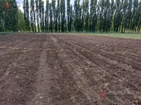 CHACRA DE 10HA EN VENTA EN SENILLOSA