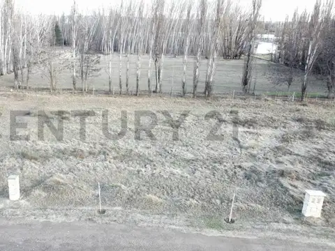 Terreno en Venta en General Roca, USD 40.000