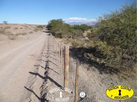 24000 HAS MOLINOS CON RIEGO