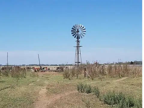 Campo en San Vicente