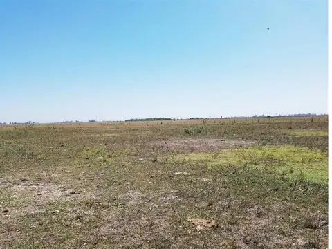 Campo en San Vicente