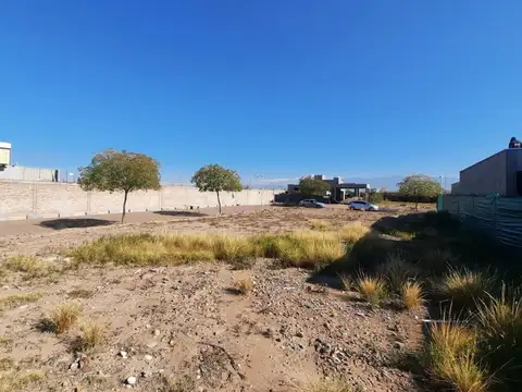 Terreno en Venta, FOS 50