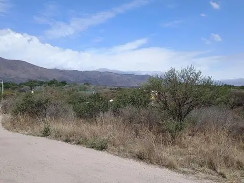 Terreno en Venta de 550,0 m2