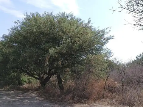 Terreno en Venta de 550,0 m2