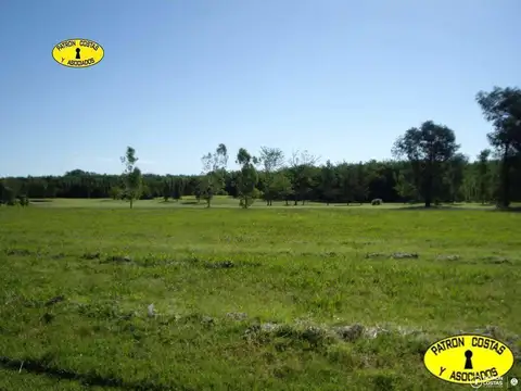 LA COLINA 5000 M2