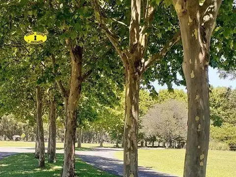 Terreno en Venta en La Colina Villa de Campo, USD 130.000
