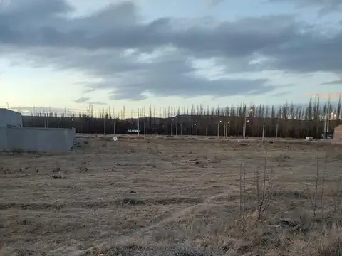 Terreno en Venta en Plottier, USD 19.000