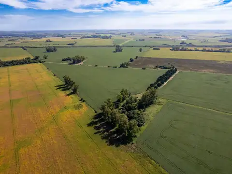 Arrecifes zona rural