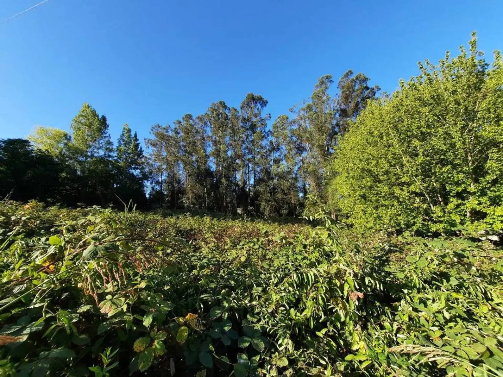 Vendo terreno en Sierra de los Padres.