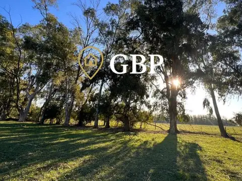 Xch8+hg, Cañuelas, Provincia De Buenos Aires